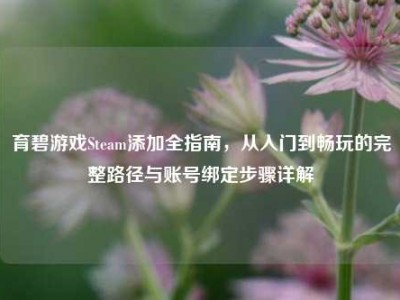 育碧游戏Steam添加全指南，从入门到畅玩的完整路径与账号绑定步骤详解