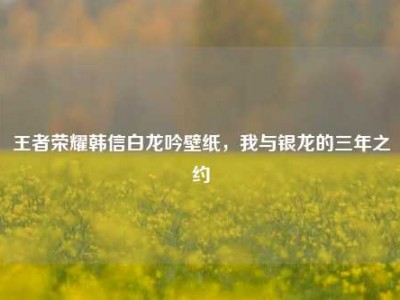 王者荣耀韩信白龙吟壁纸，我与银龙的三年之约