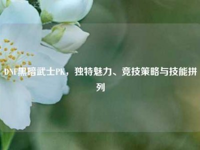 DNF黑暗武士PK，独特魅力、竞技策略与技能拼列