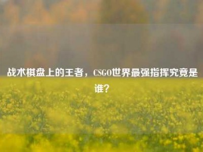 战术棋盘上的王者，CSGO世界最强指挥究竟是谁？