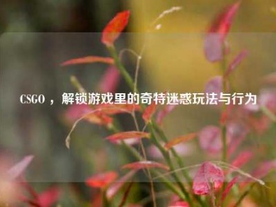 CSGO ，解锁游戏里的奇特迷惑玩法与行为