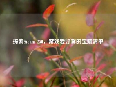 探索Steam 250，游戏爱好者的宝藏清单