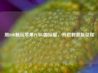 用IOR畅玩苹果PUBG国际服，开启刺激新征程