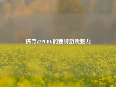 探寻Z2PUBG的独特游戏魅力