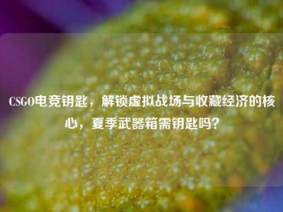 CSGO电竞钥匙，解锁虚拟战场与收藏经济的核心，夏季武器箱需钥匙吗？