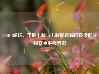 PUBG畅玩，平板电脑与电脑配置解析及适配90帧安卓平板情况