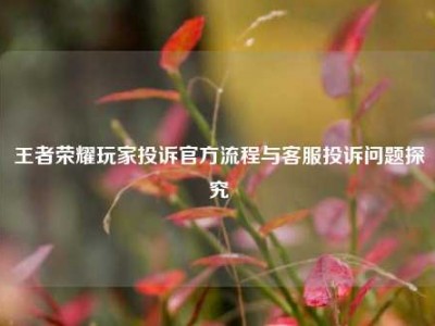 王者荣耀玩家投诉官方流程与客服投诉问题探究
