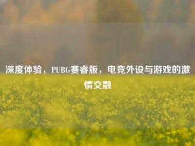深度体验，PUBG赛睿版，电竞外设与游戏的激情交融