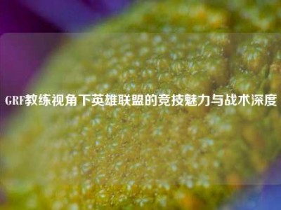 GRF教练视角下英雄联盟的竞技魅力与战术深度
