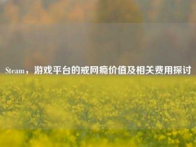 Steam，游戏平台的戒网瘾价值及相关费用探讨