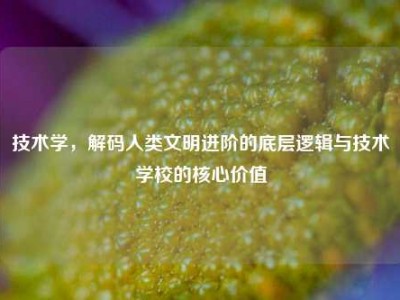 技术学，解码人类文明进阶的底层逻辑与技术学校的核心价值