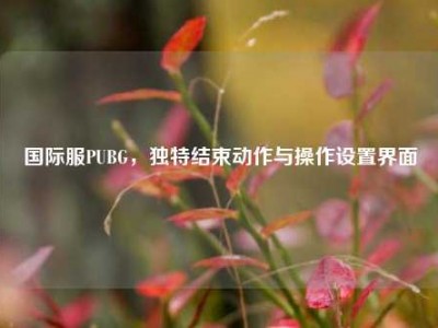 国际服PUBG，独特结束动作与操作设置界面