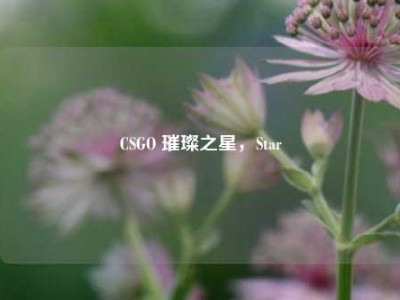 CSGO 璀璨之星，Star