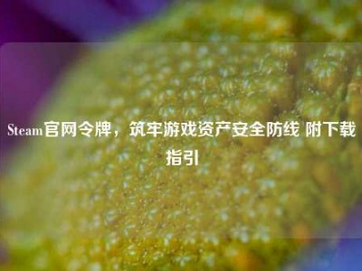 Steam官网令牌，筑牢游戏资产安全防线 附下载指引
