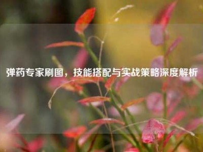 弹药专家刷图，技能搭配与实战策略深度解析