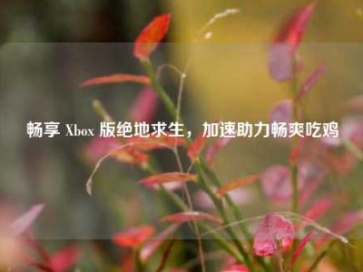 畅享 Xbox 版绝地求生，加速助力畅爽吃鸡
