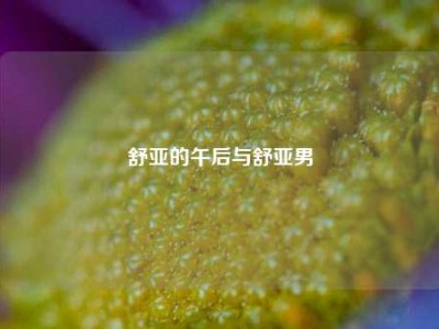 舒亚的午后与舒亚男