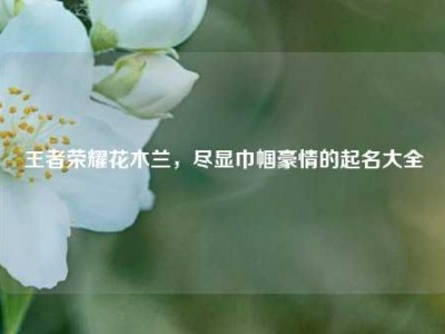 王者荣耀花木兰，尽显巾帼豪情的起名大全