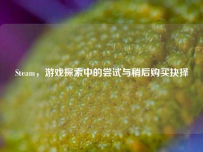 Steam，游戏探索中的尝试与稍后购买抉择