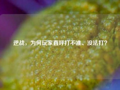 逆战，为何玩家直呼打不准、没法打？