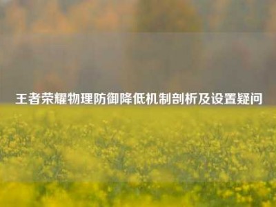 王者荣耀物理防御降低机制剖析及设置疑问