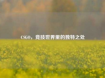 CSGO，竞技世界里的独特之处