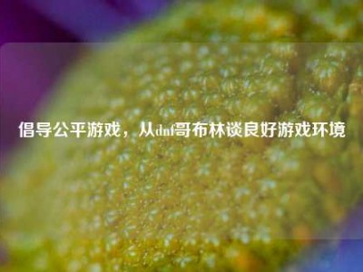 倡导公平游戏，从dnf哥布林谈良好游戏环境