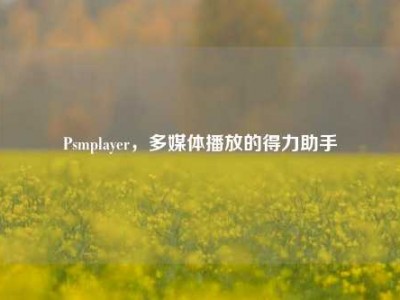 Psmplayer，多媒体播放的得力助手