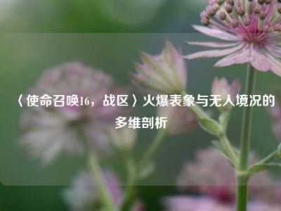 〈使命召唤16，战区〉火爆表象与无人境况的多维剖析