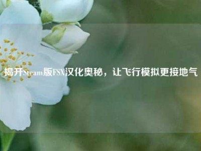 揭开Steam版FSX汉化奥秘，让飞行模拟更接地气