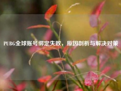PUBG全球账号绑定失败，原因剖析与解决对策