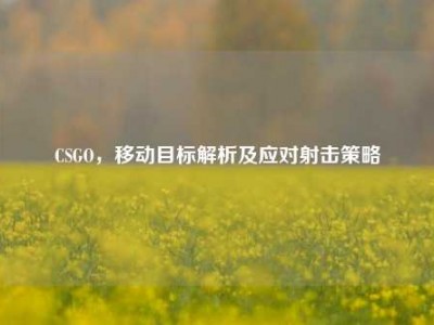 CSGO，移动目标解析及应对射击策略
