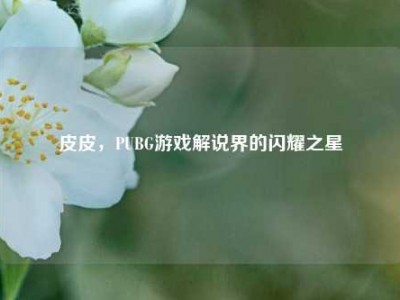 皮皮，PUBG游戏解说界的闪耀之星