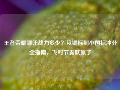 王者荣耀哪吒战力多少？从铜标到小国标冲分全指南，飞对节奏就赢了