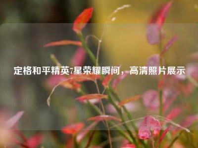定格和平精英7星荣耀瞬间，高清照片展示