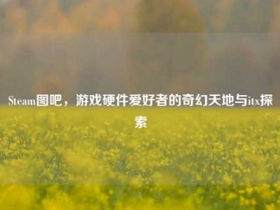 Steam图吧，游戏硬件爱好者的奇幻天地与itx探索