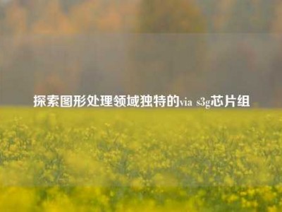 探索图形处理领域独特的via s3g芯片组