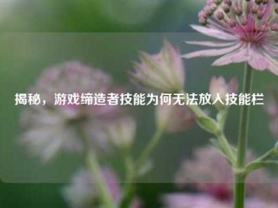 揭秘，游戏缔造者技能为何无法放入技能栏