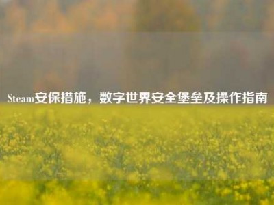 Steam安保措施，数字世界安全堡垒及操作指南