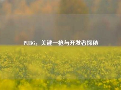 PUBG，关键一枪与开发者探秘