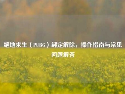 绝地求生（PUBG）绑定解除，操作指南与常见问题解答