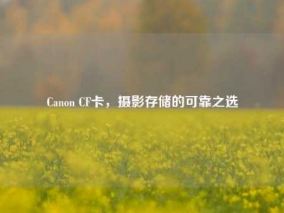 Canon CF卡，摄影存储的可靠之选