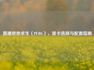直播绝地求生（PUBG），显卡选择与配置指南