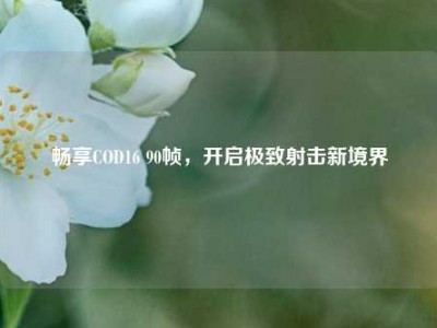 畅享COD16 90帧，开启极致射击新境界
