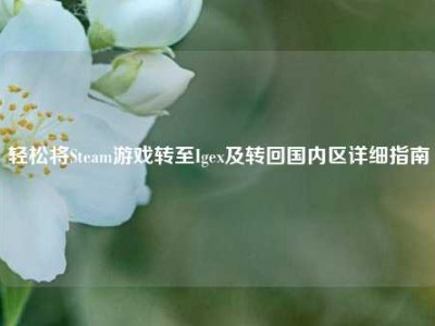 轻松将Steam游戏转至Igex及转回国内区详细指南