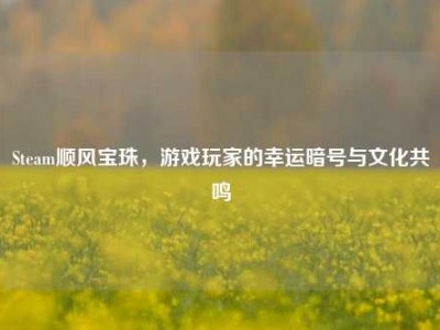 Steam顺风宝珠，游戏玩家的幸运暗号与文化共鸣