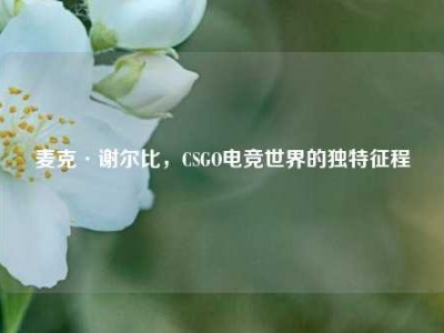 麦克·谢尔比，CSGO电竞世界的独特征程