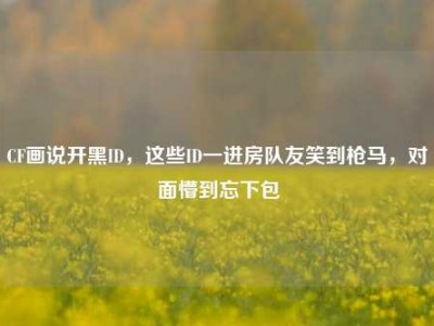 CF画说开黑ID，这些ID一进房队友笑到枪马，对面懵到忘下包