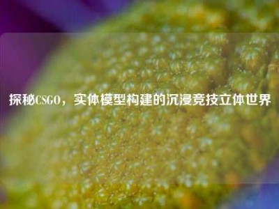探秘CSGO，实体模型构建的沉浸竞技立体世界