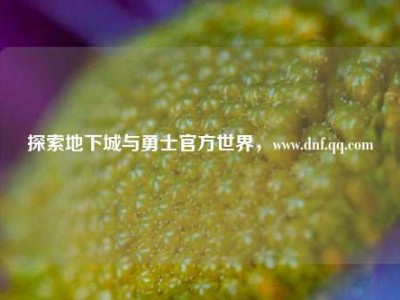 探索地下城与勇士官方世界，www.dnf.qq.com